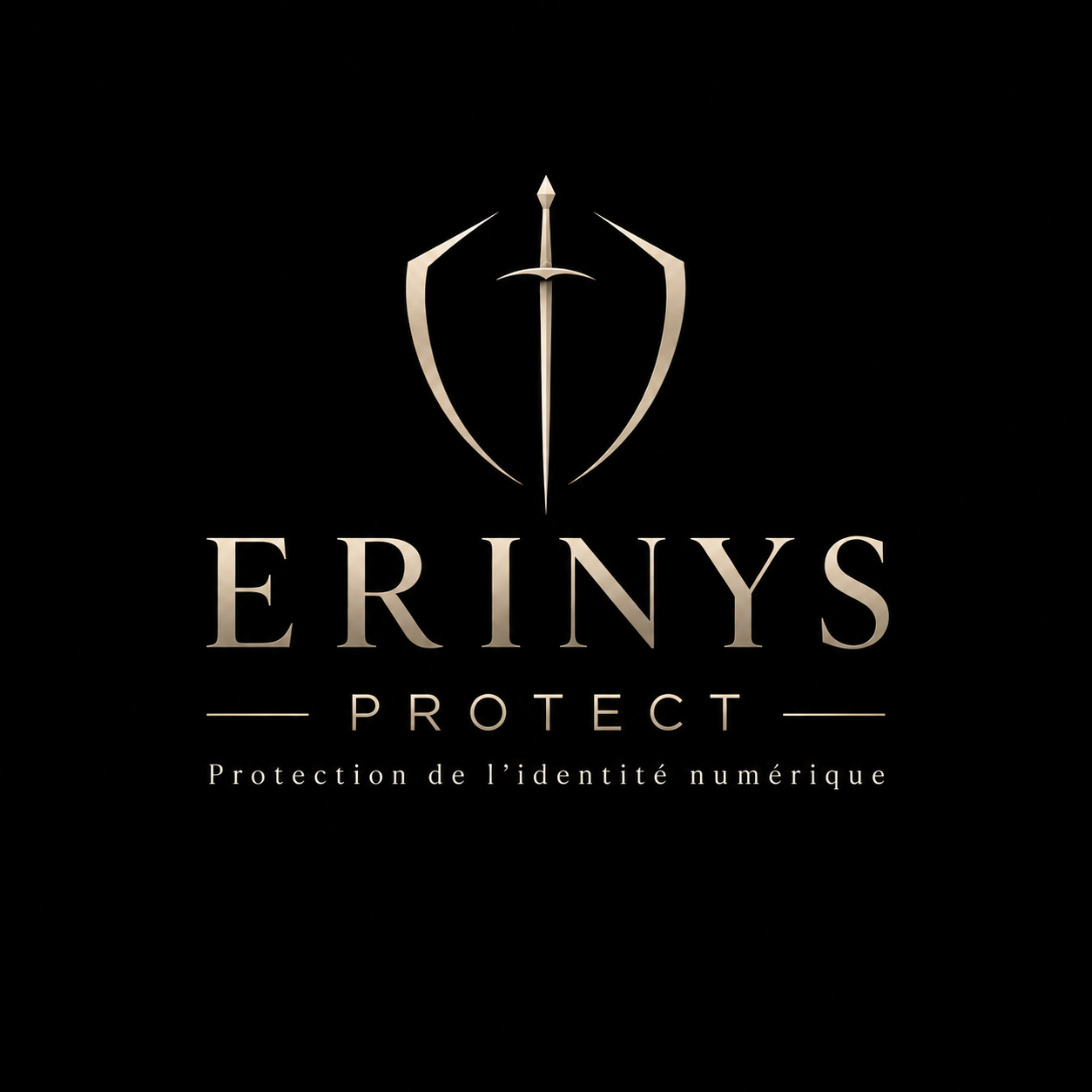 ERINYS PROTECT — Protection de l’identité numérique